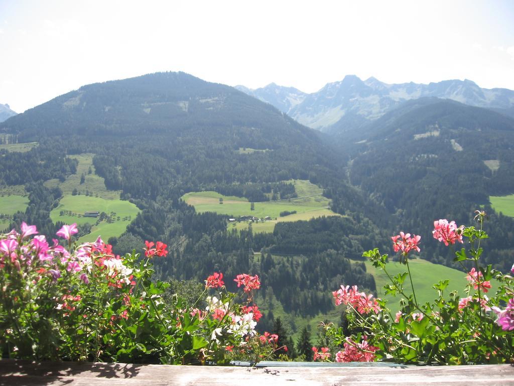 Apartamento Bergbauernhof Untermoos Taxenbach Habitación foto